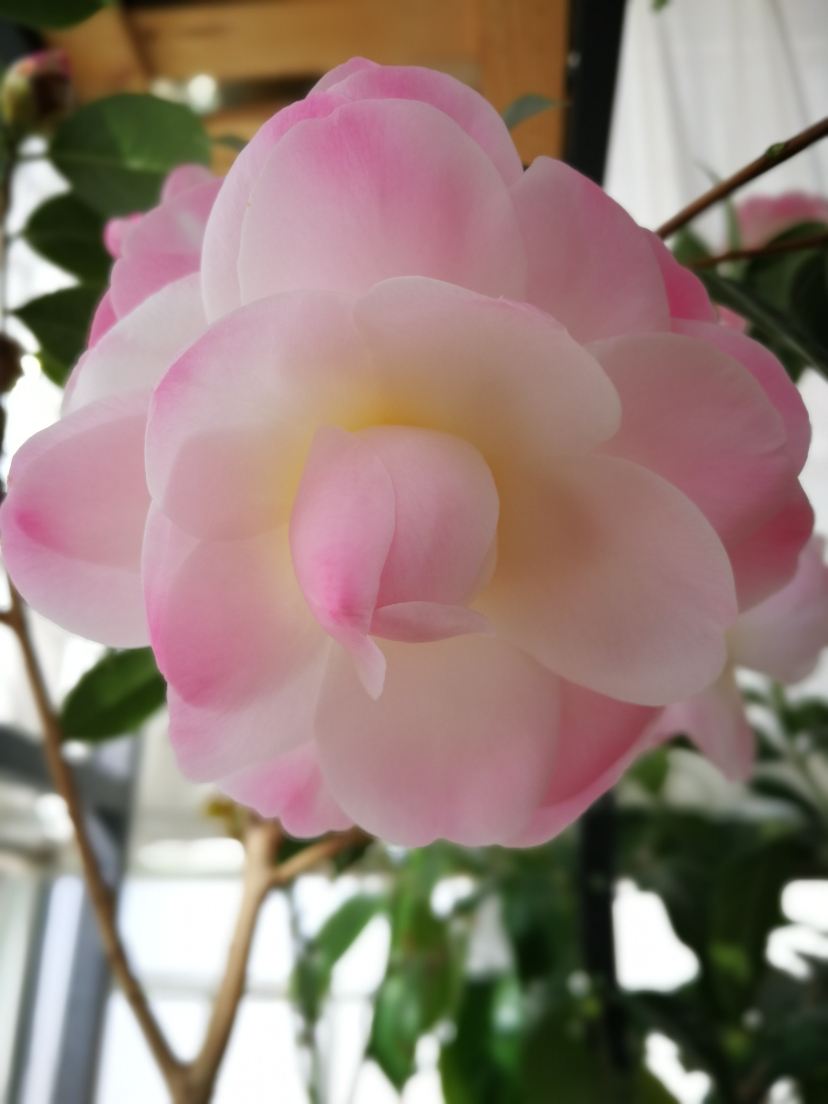 IMG_20220219_094828.jpg