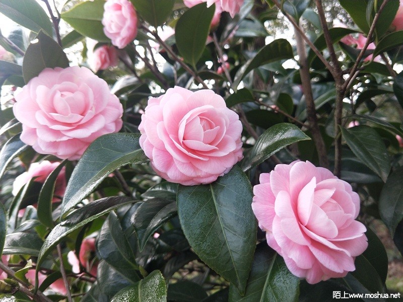 IMG20220305090505_����.jpg