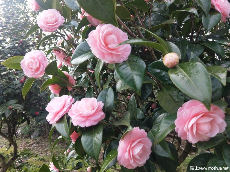 IMG20220305091506_����.jpg