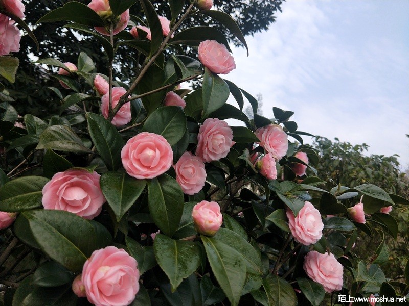 IMG20220305091614_����.jpg