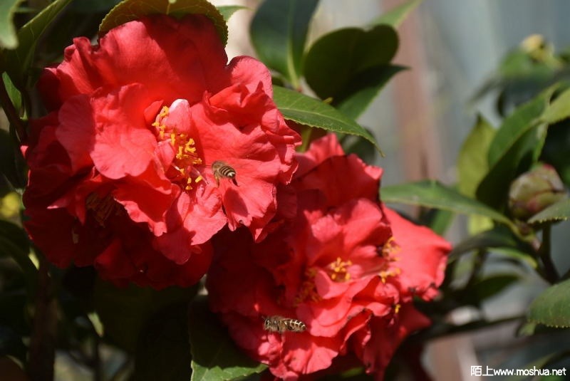 DSC_01170117.JPG
