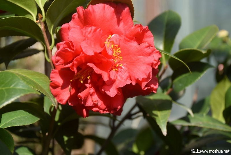 DSC_01140114.JPG