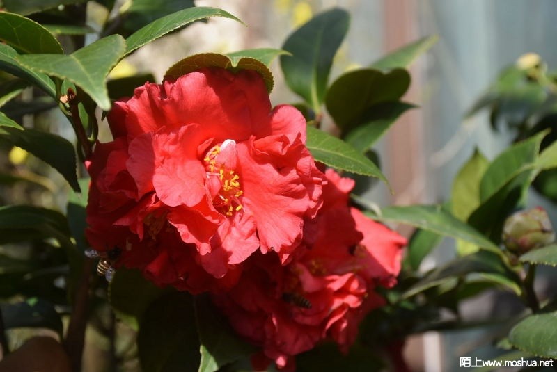 DSC_01220122.JPG