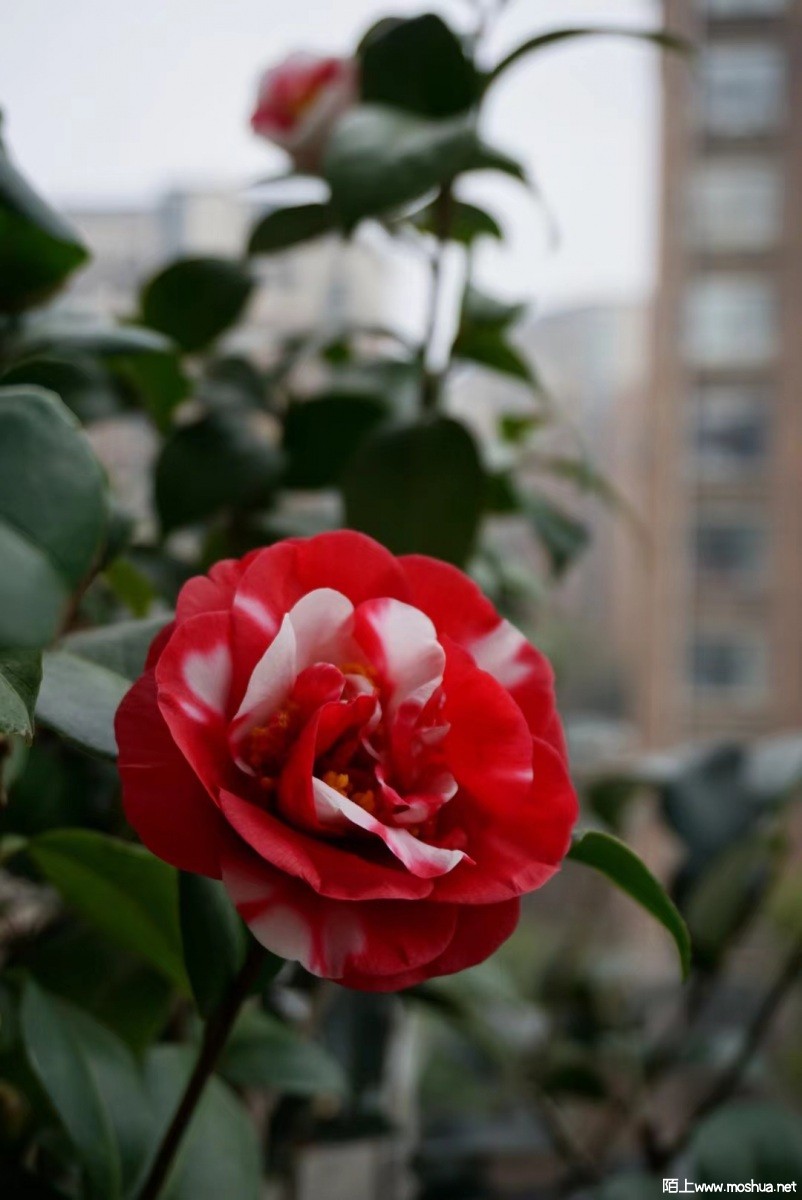 0859D5D3-059F-4843-85C8-9ABF09723CF5.jpeg