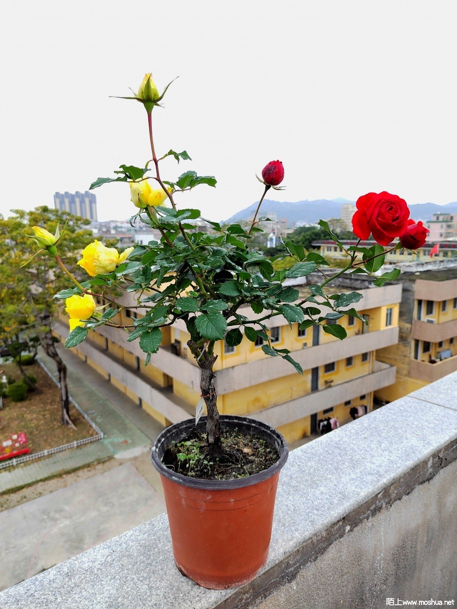 ΢��ͼƬ_202203101602201.jpg