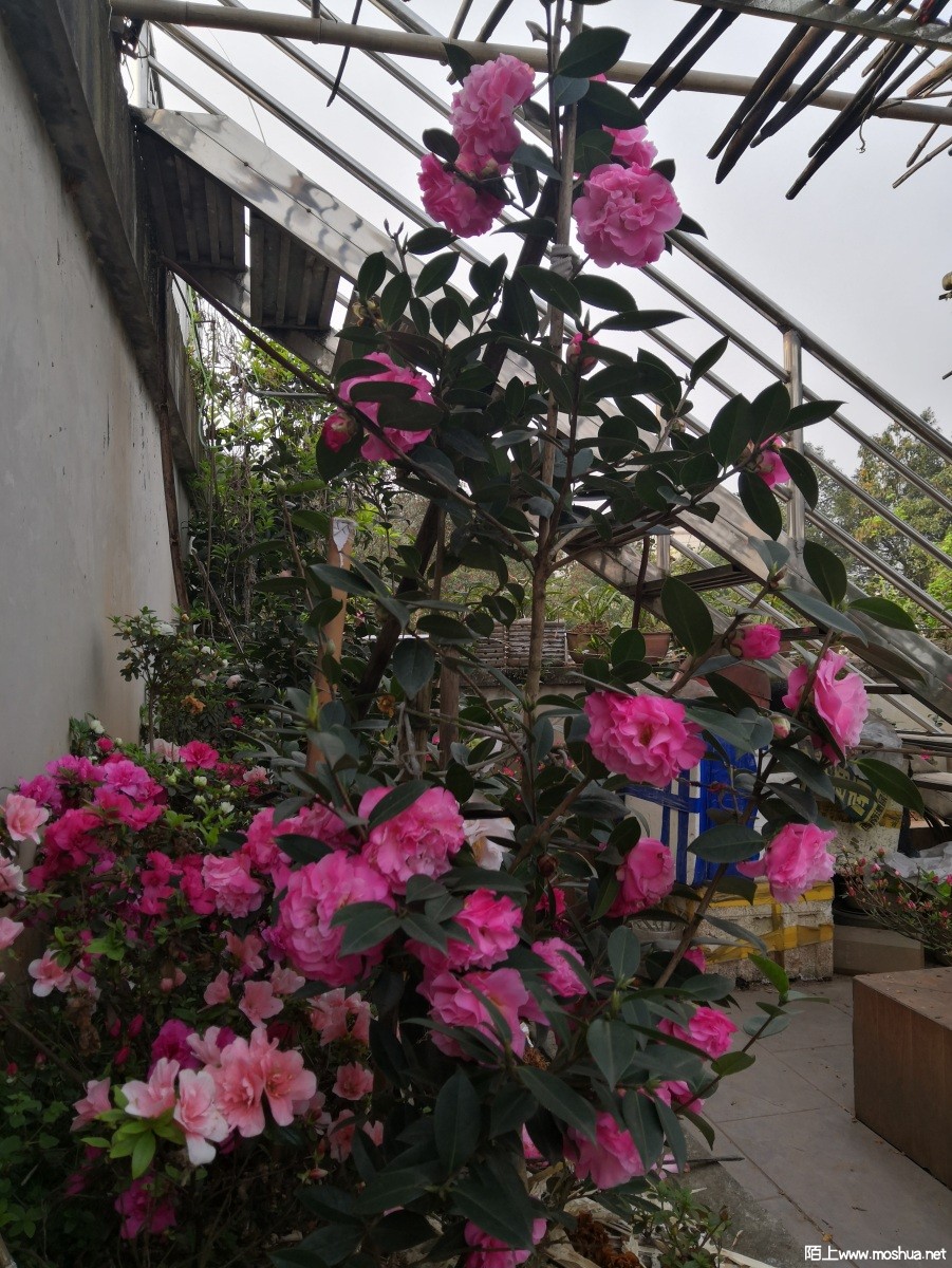 IMG_20220313_083510.jpg