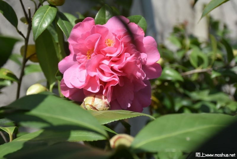DSC_03920392.JPG