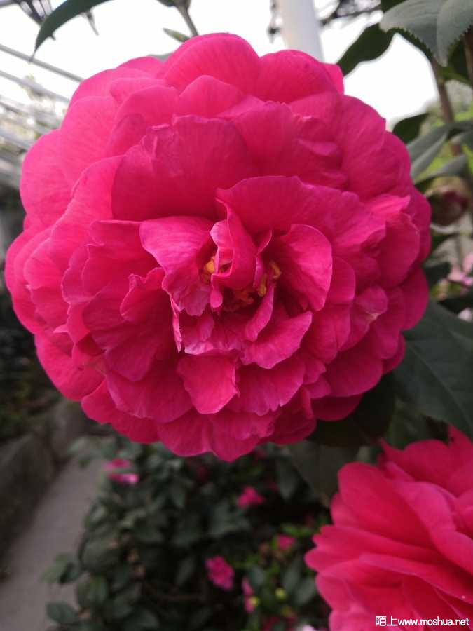 IMG_20220313_083354.jpg