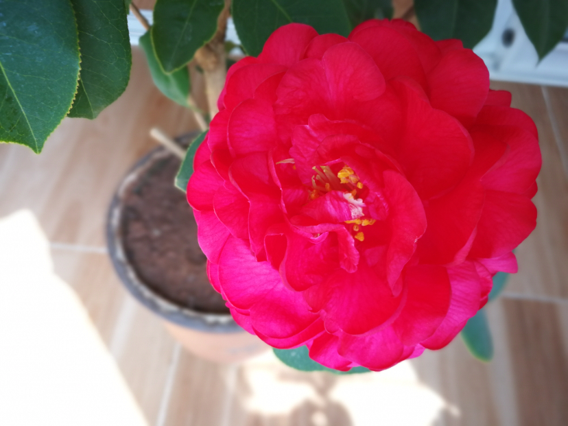 IMG_20220319_105518.jpg