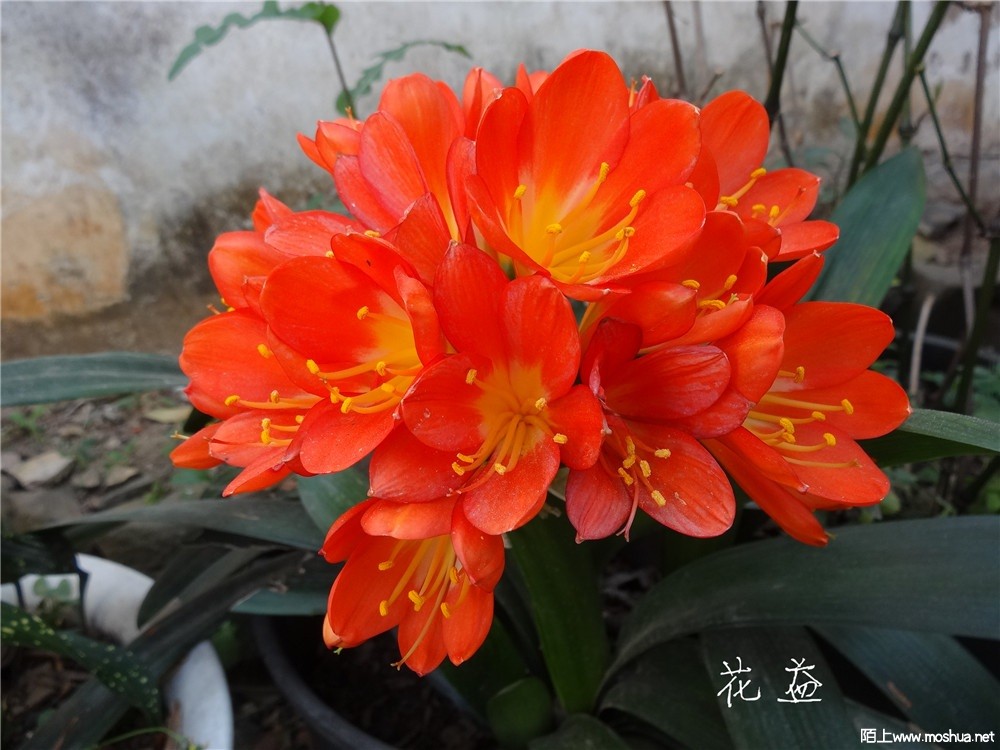 DSC05392.jpg