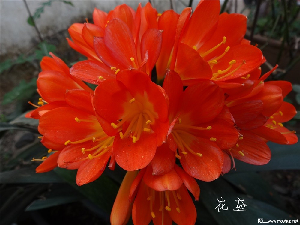 DSC05389.jpg