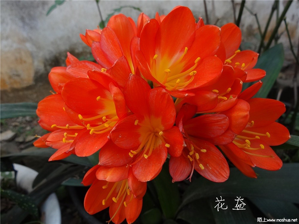 DSC05391.jpg