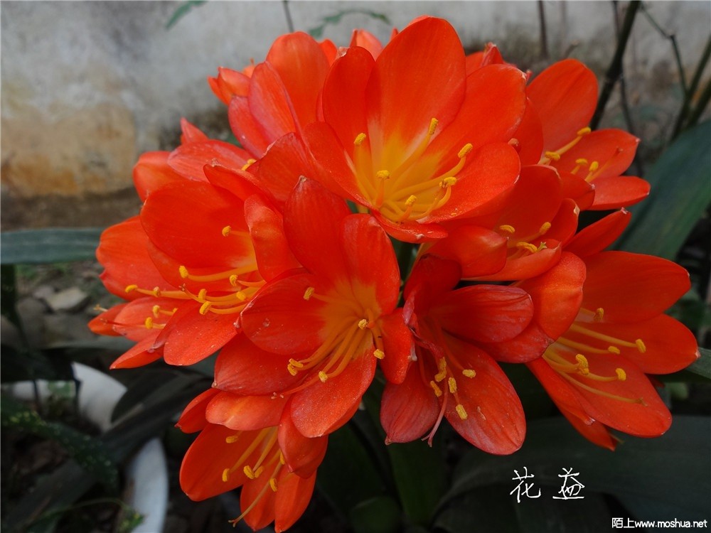 DSC05390.jpg