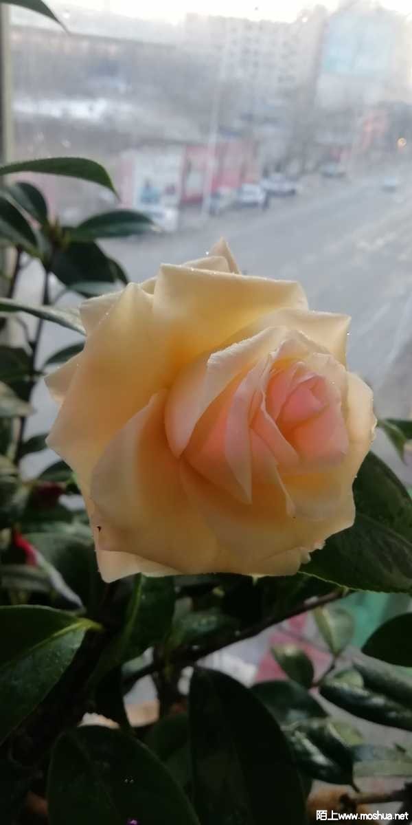 1648296838773331.jpeg