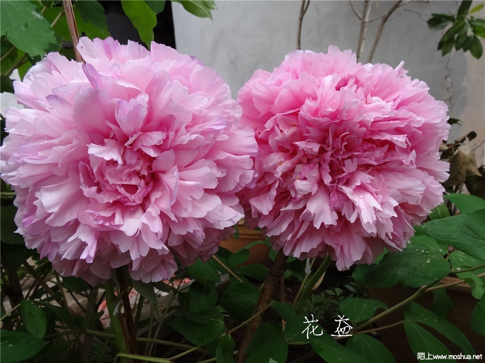 DSC05402.jpg