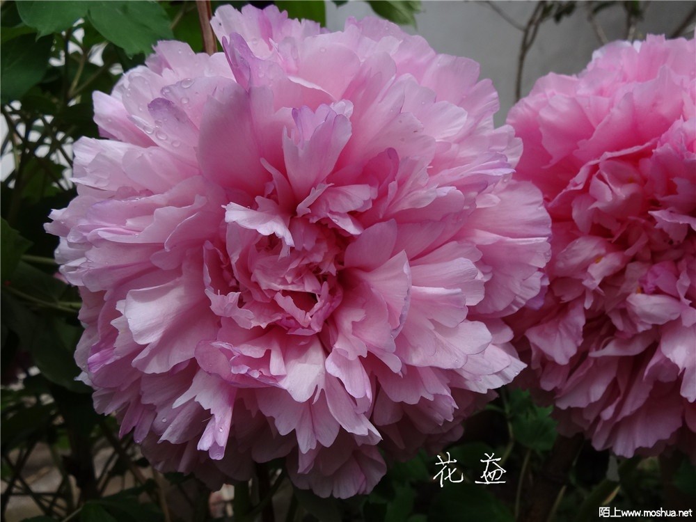DSC05398.jpg