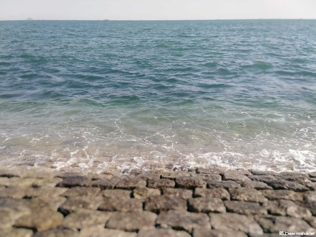 1648372257867906.jpeg