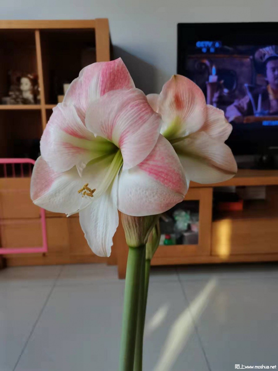΢��ͼƬ_20220328110723.jpg