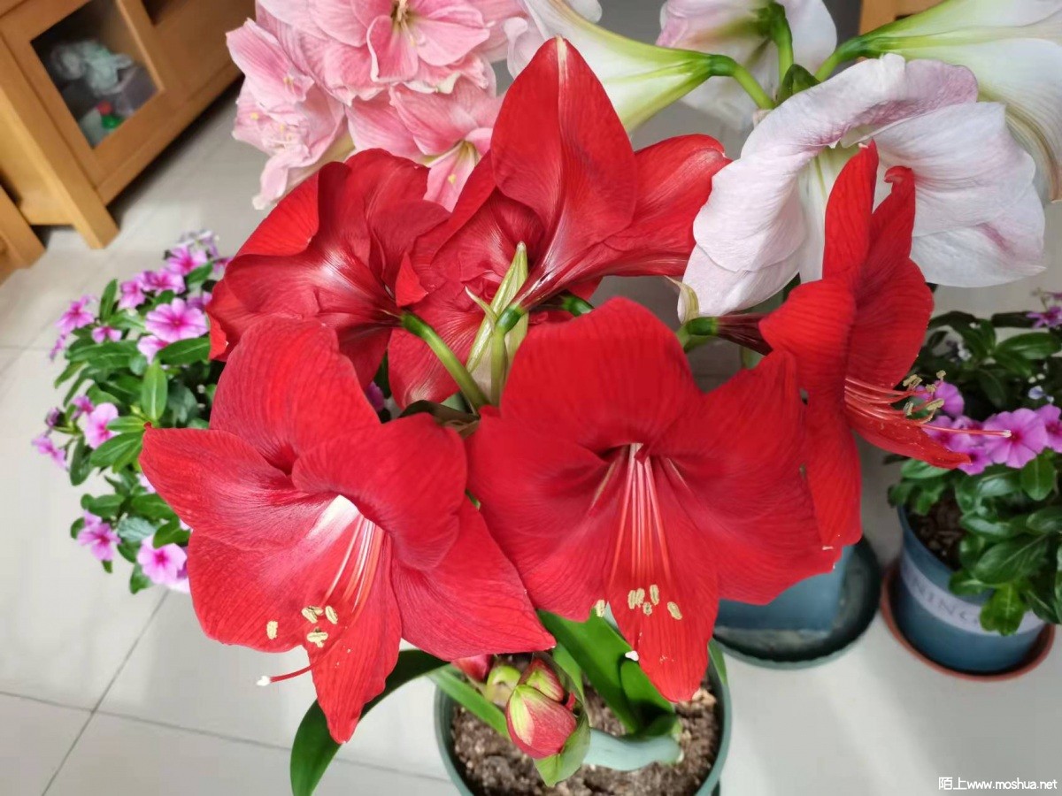 ΢��ͼƬ_20220328111051.jpg