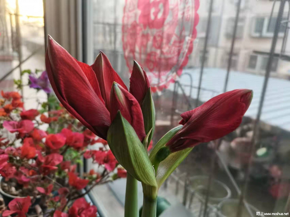 ΢��ͼƬ_2022032811083631.jpg