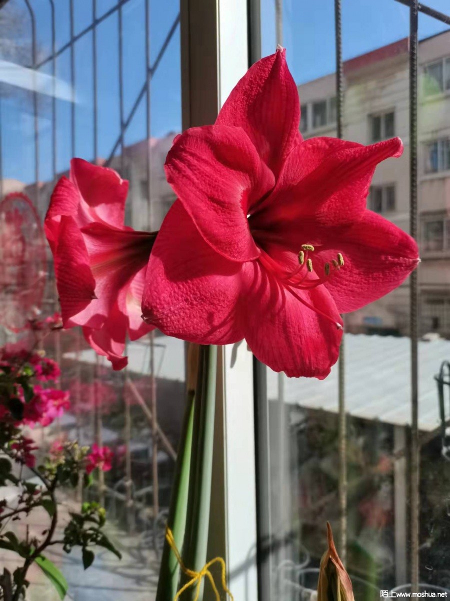 ΢��ͼƬ_2022032811083610.jpg