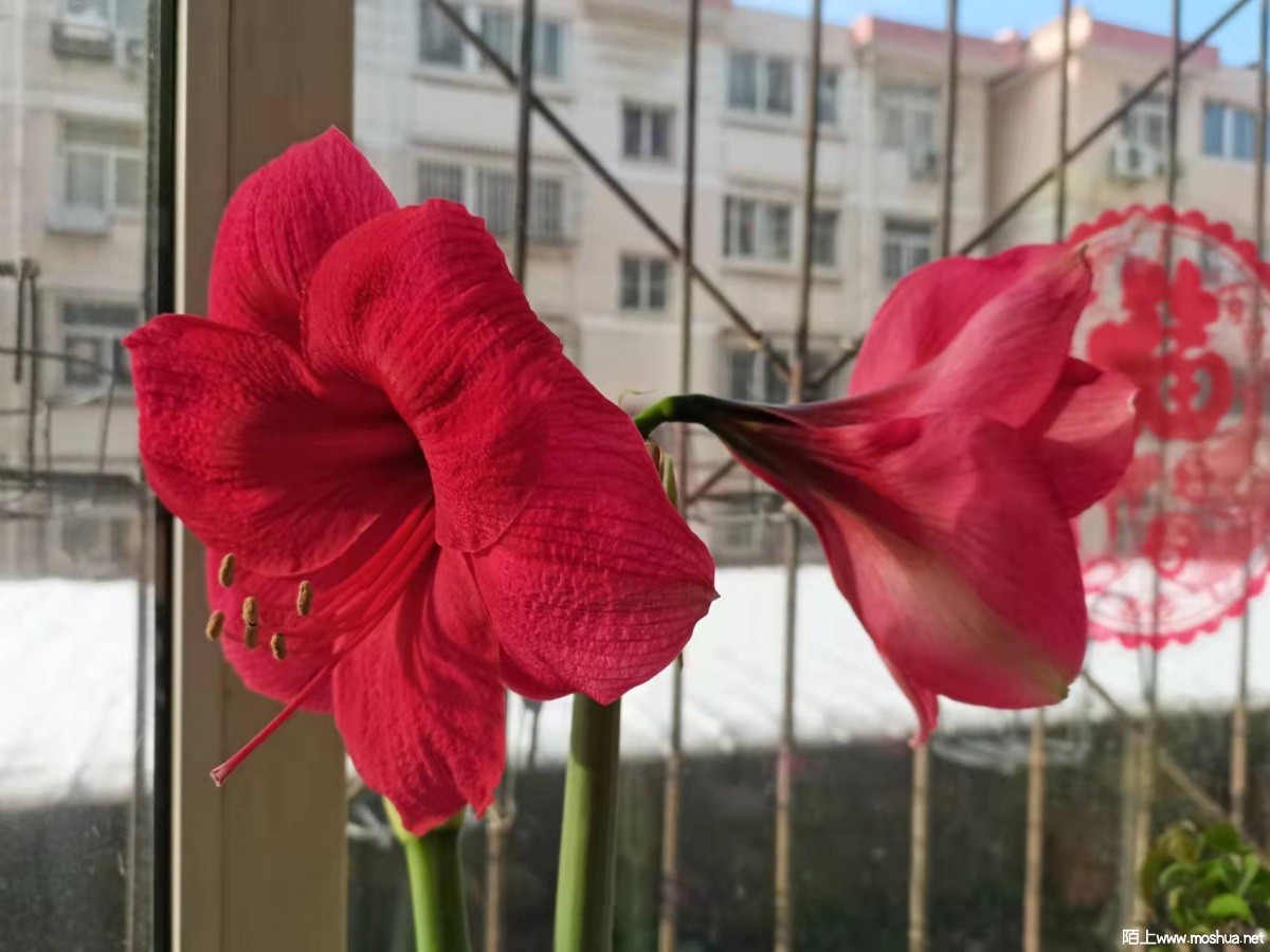 ΢��ͼƬ_2022032811083612.jpg