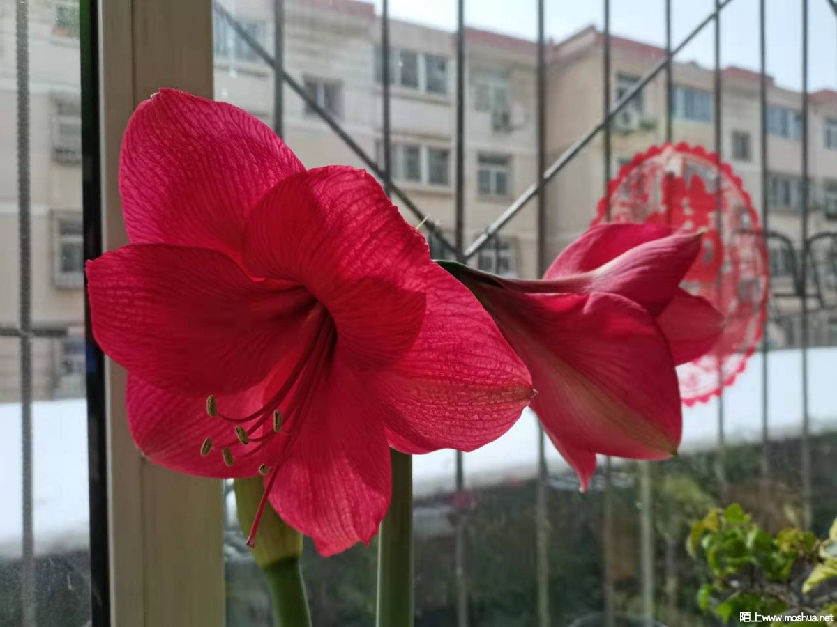 ΢��ͼƬ_2022032811083614.jpg