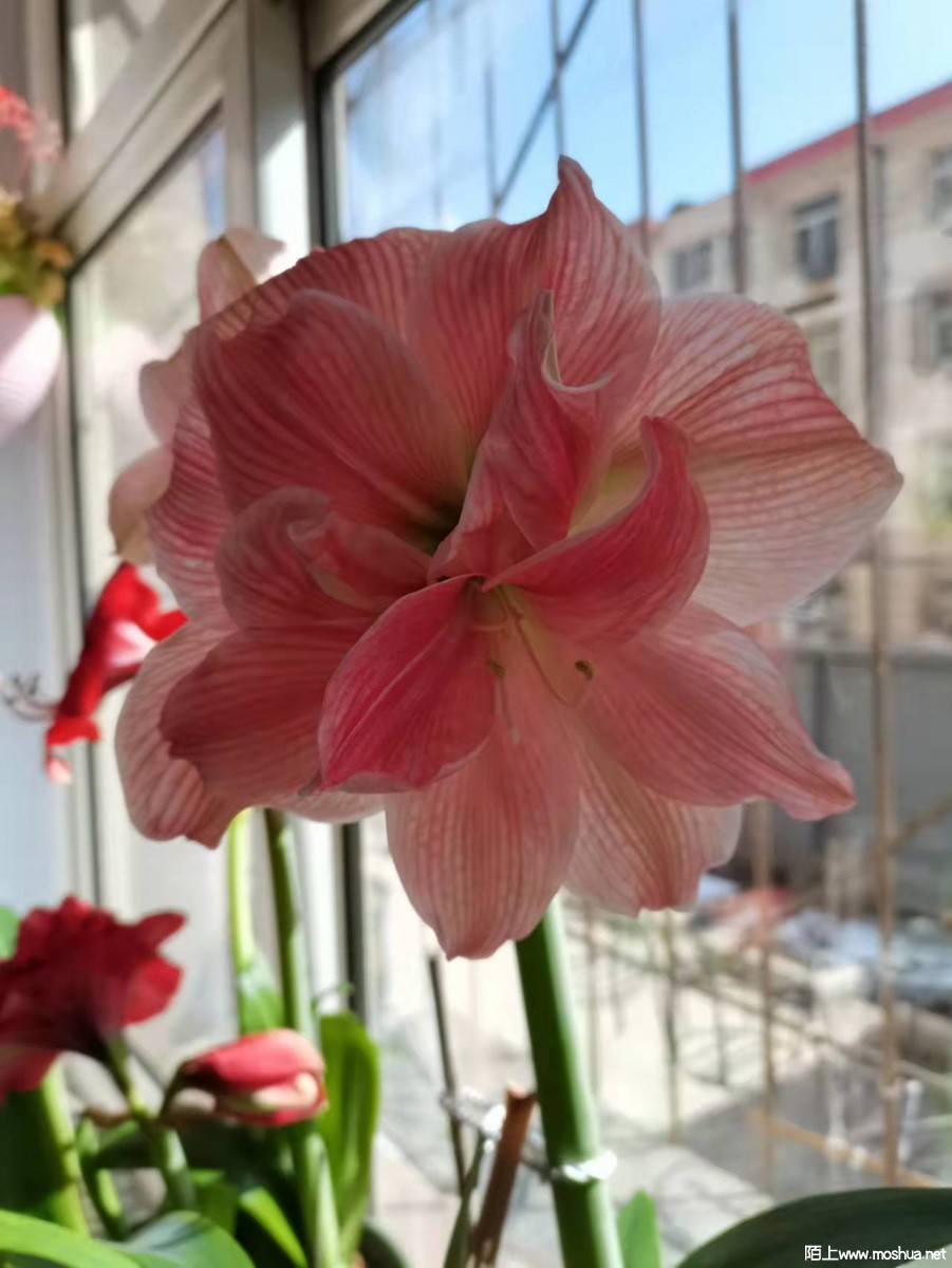 ΢��ͼƬ_202203281108365.jpg