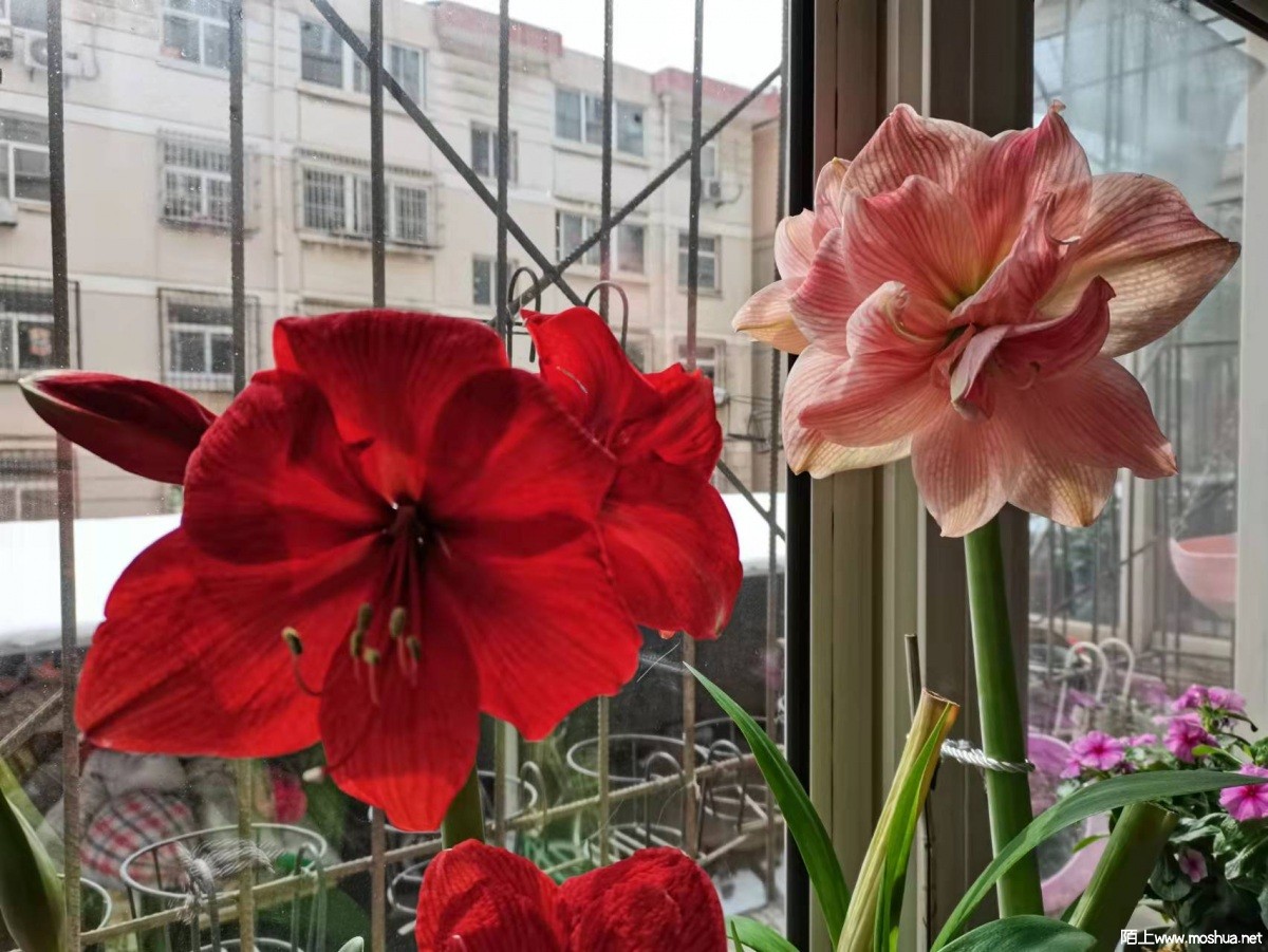 ΢��ͼƬ_2022032811083615.jpg