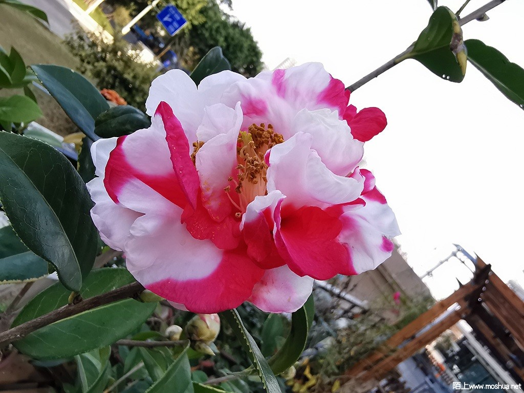 IMG_20220313_082933.jpg