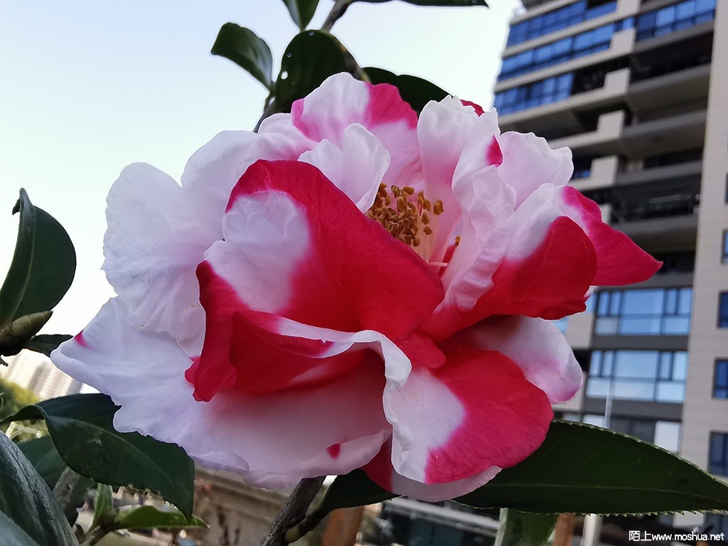 IMG_20220313_083133.jpg