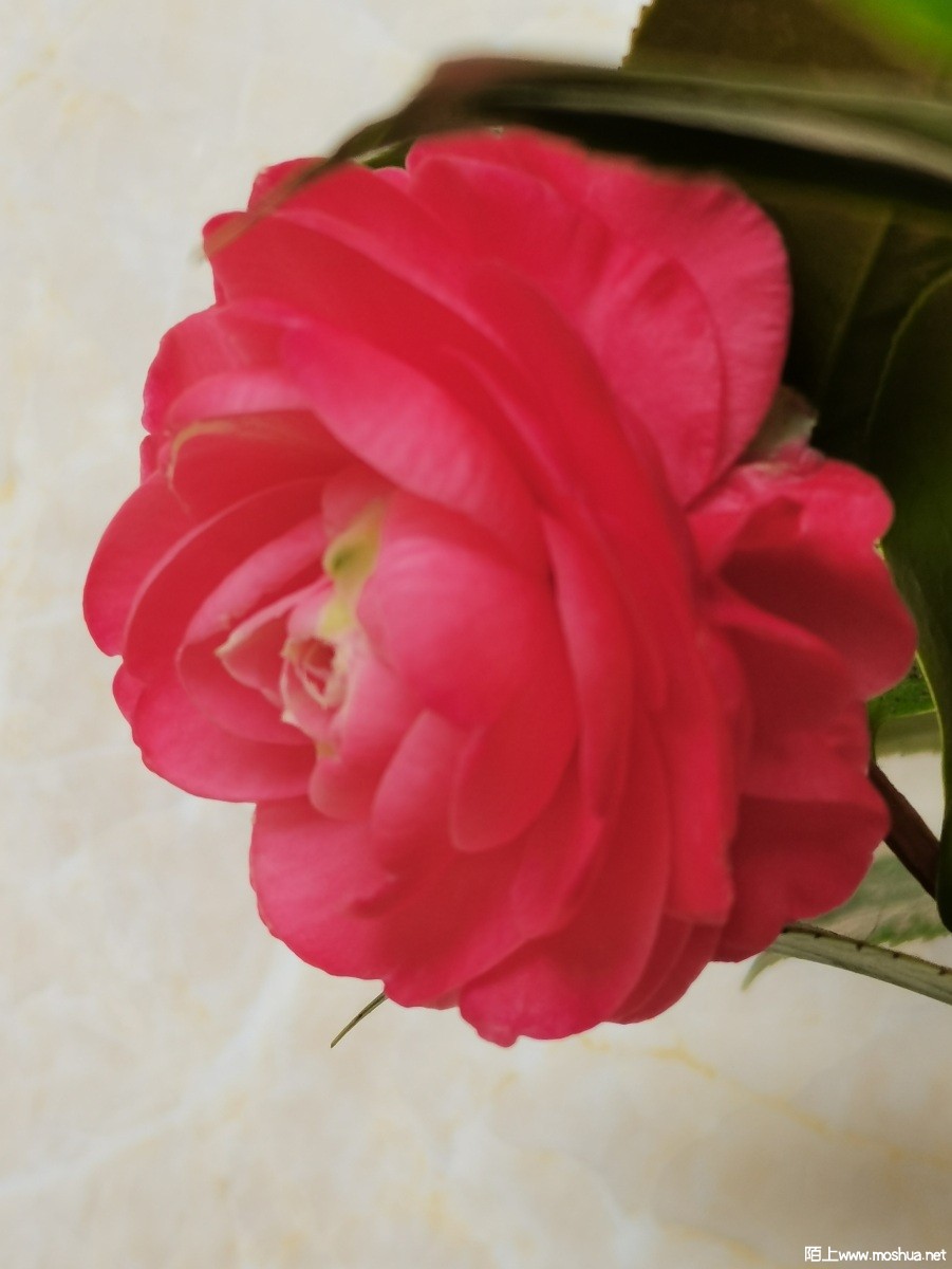 IMG_20220324_124535.jpg