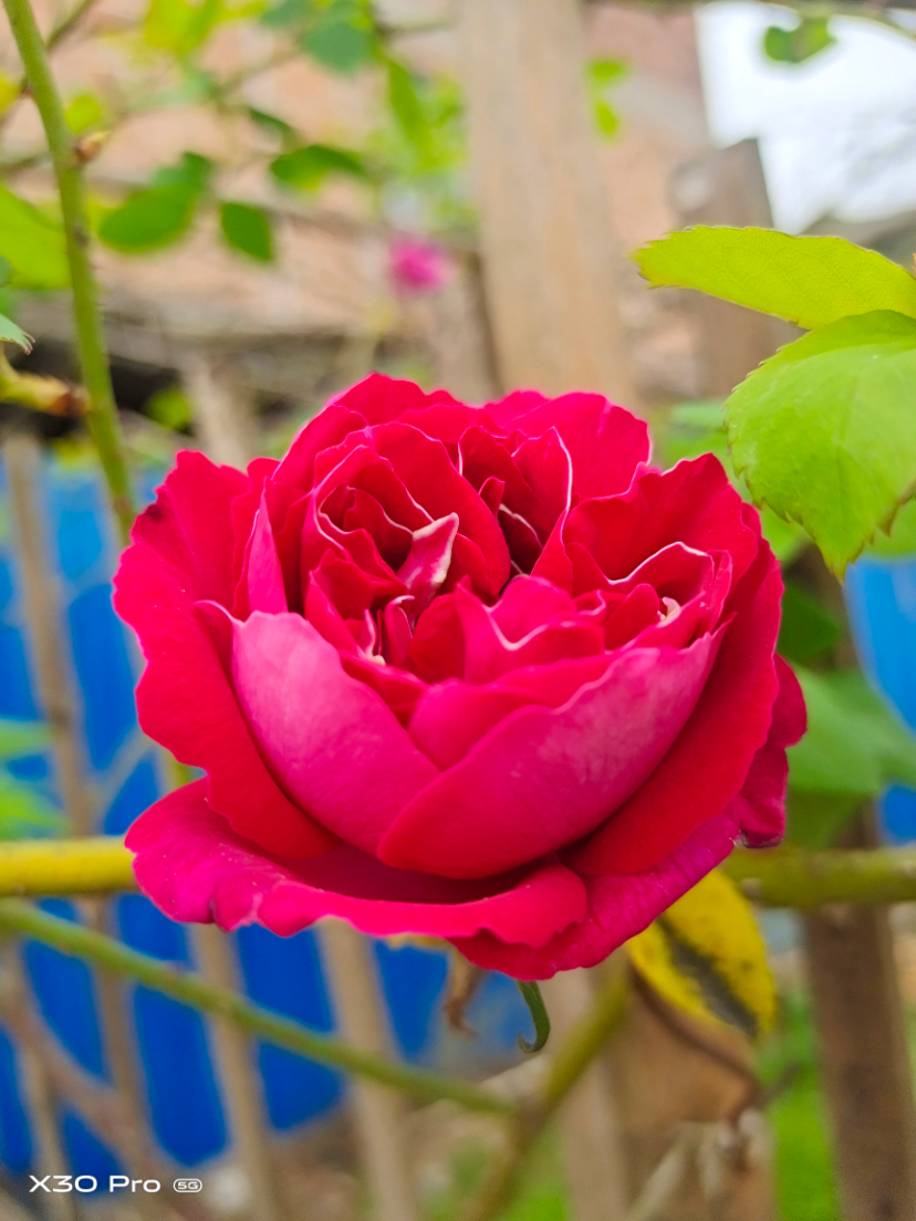 IMG_20220324_140540.jpg