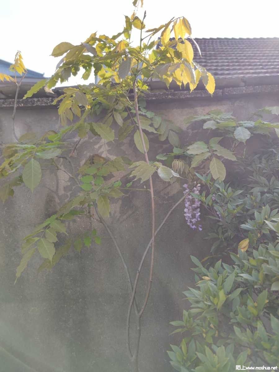 1649053329624431.jpeg