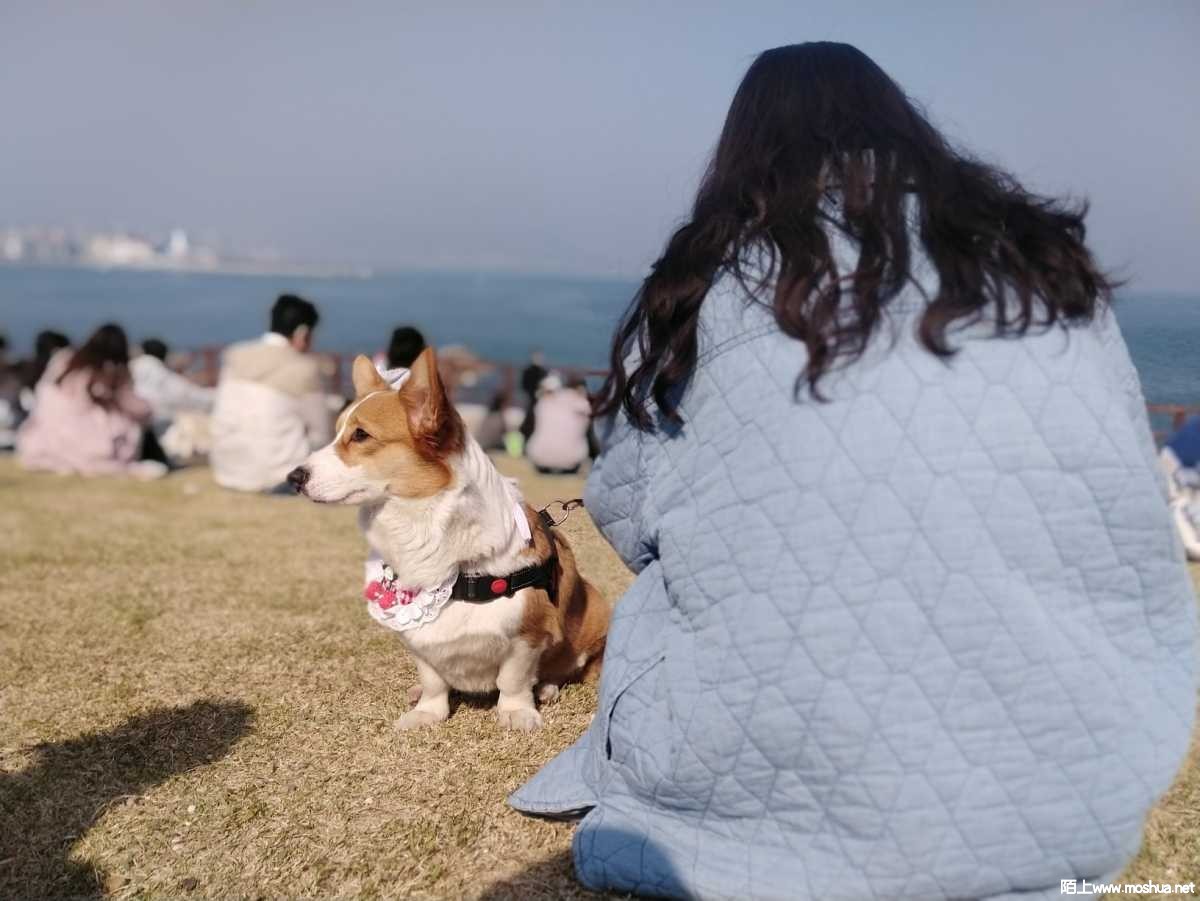 1649058745329722.jpeg