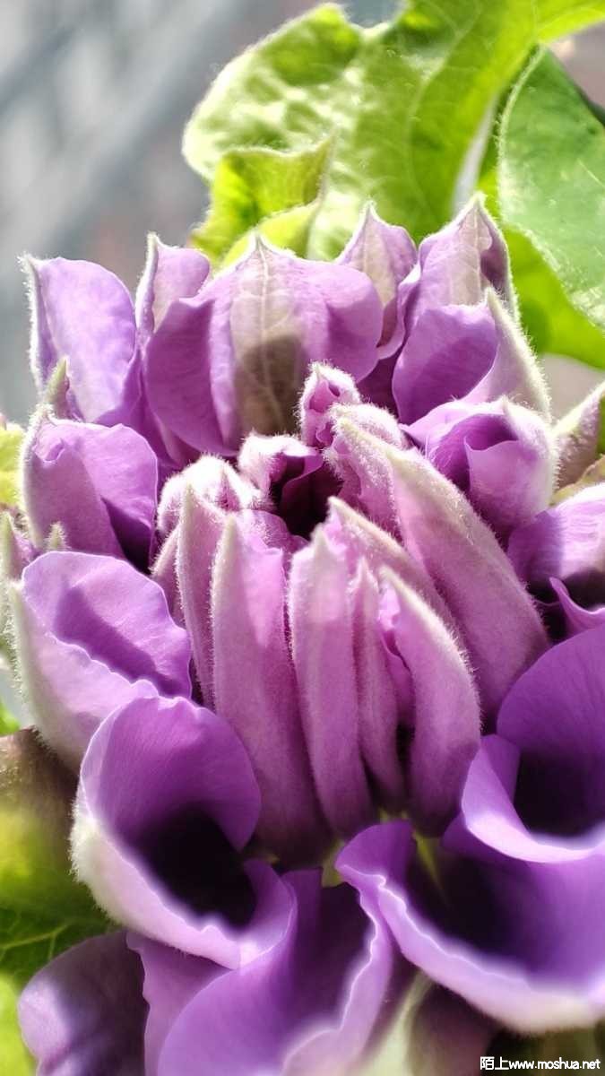 1649229394354892.jpeg