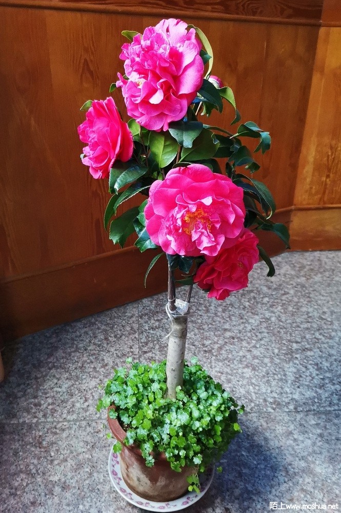 ���֮�� (28).jpg