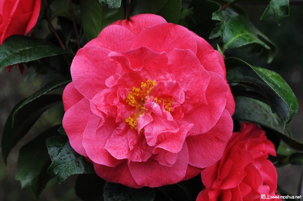 ���֮�� (31).JPG