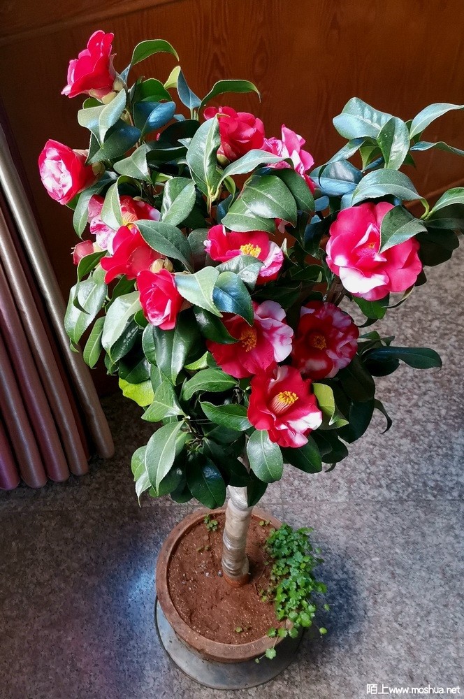 ����֮��- (54).jpg