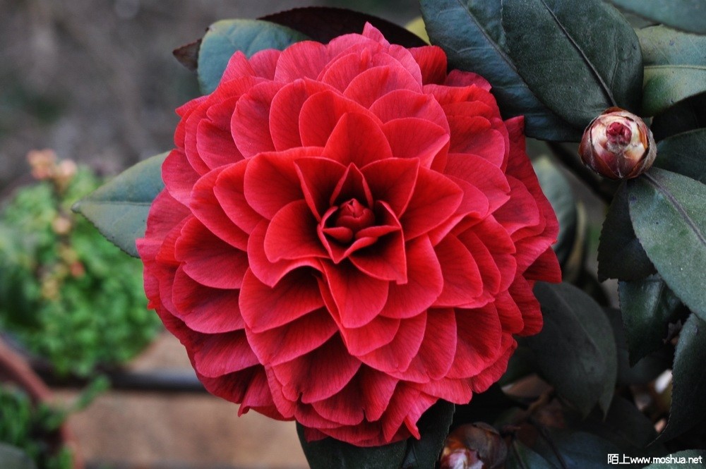 �ڱ��� (53).JPG