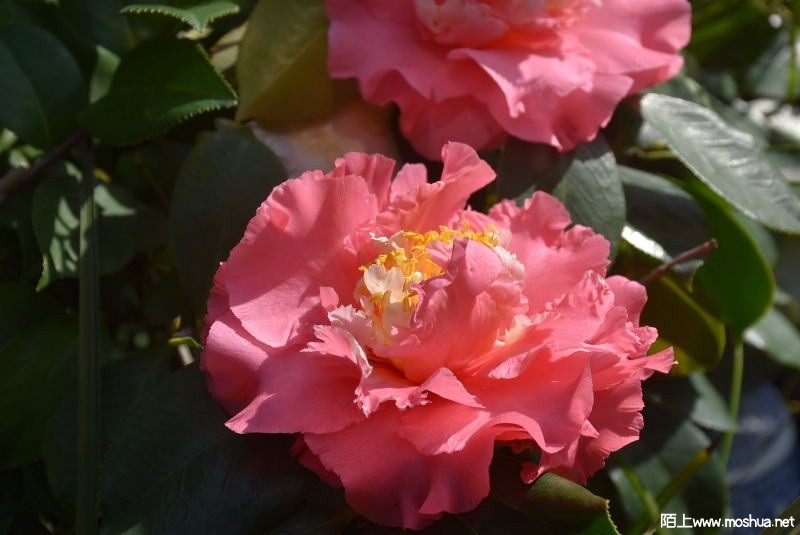 DSC_03920392.JPG