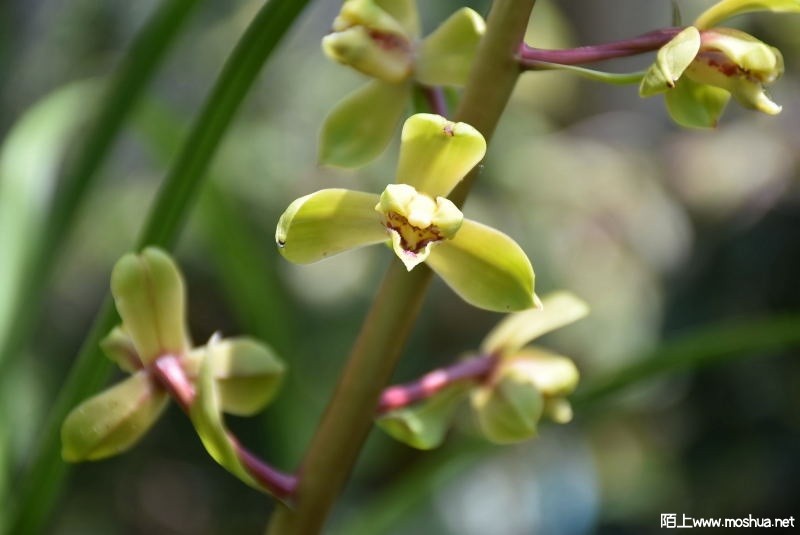 DSC_05600560.JPG