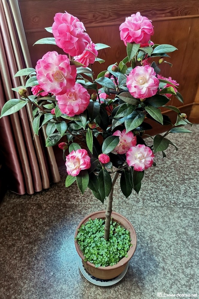 ��ã�Ĵ��� (110).jpg