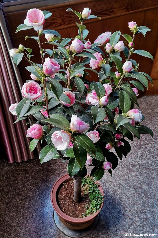 ���غ�˹ (103).jpg