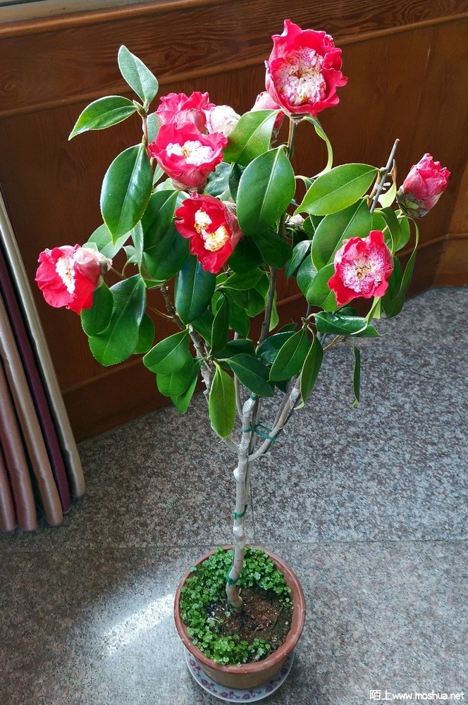 �ܹ� (27).jpg