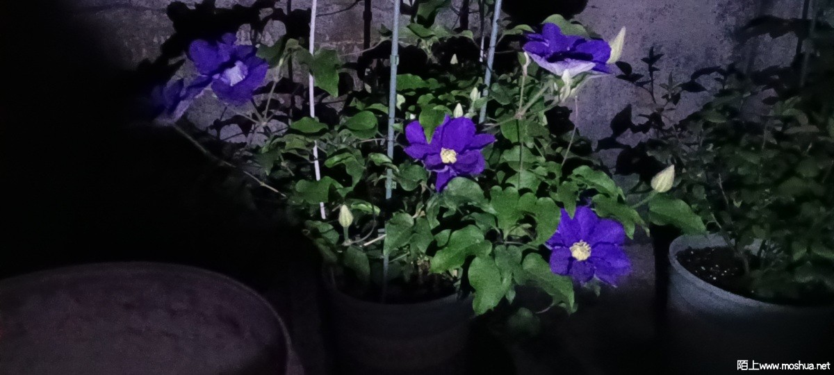 wx_camera_1649428087971.jpg