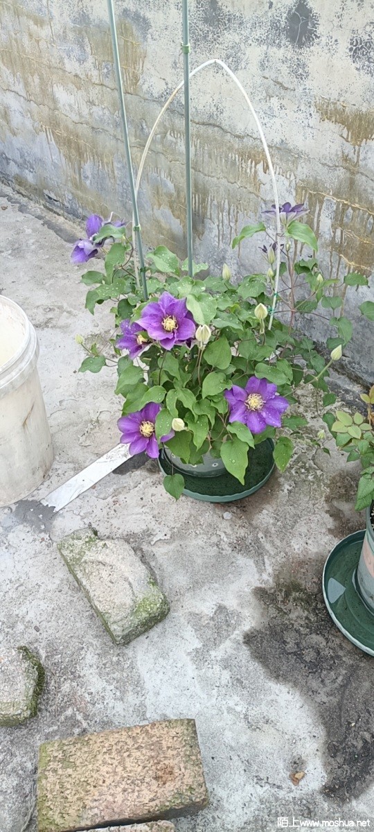 wx_camera_1649463335340.jpg