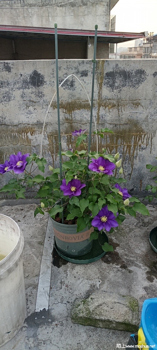 wx_camera_1649460387774.jpg