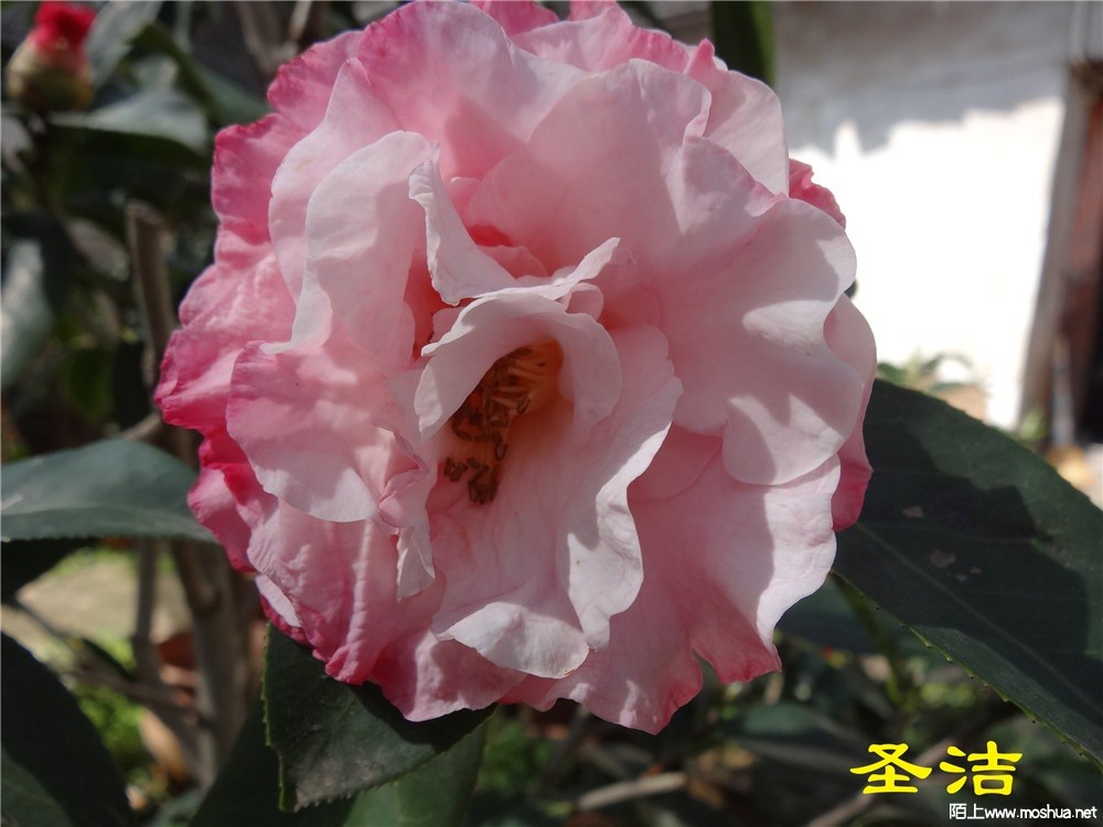 DSC05417.jpg