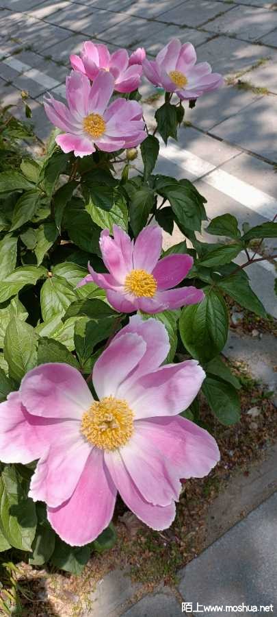 IMG20220419110406.jpg